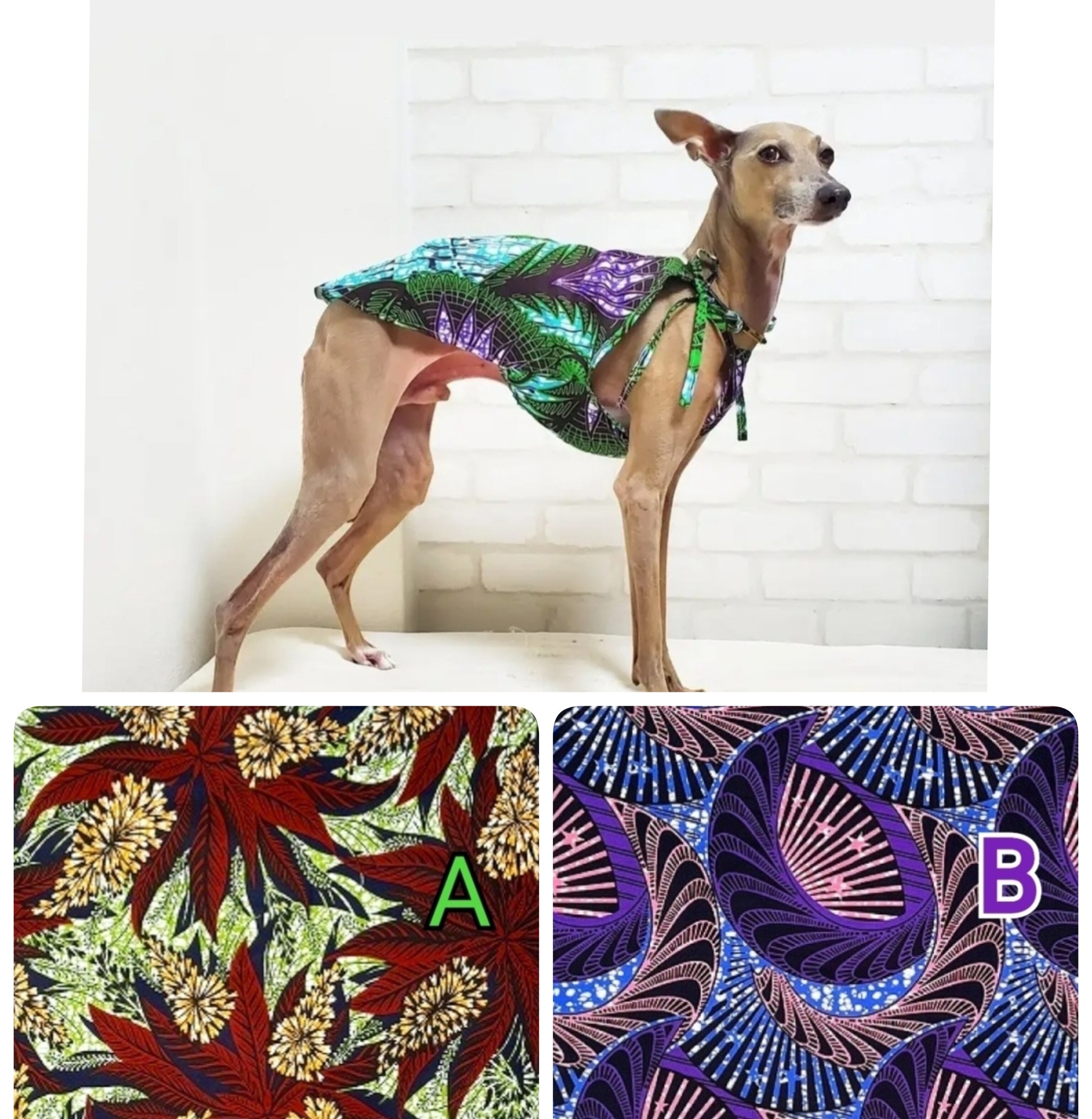 イタグレ服　ファーベスト イタグレ服 イタリー製ファーベスト（オレンジレッド） イタグレ