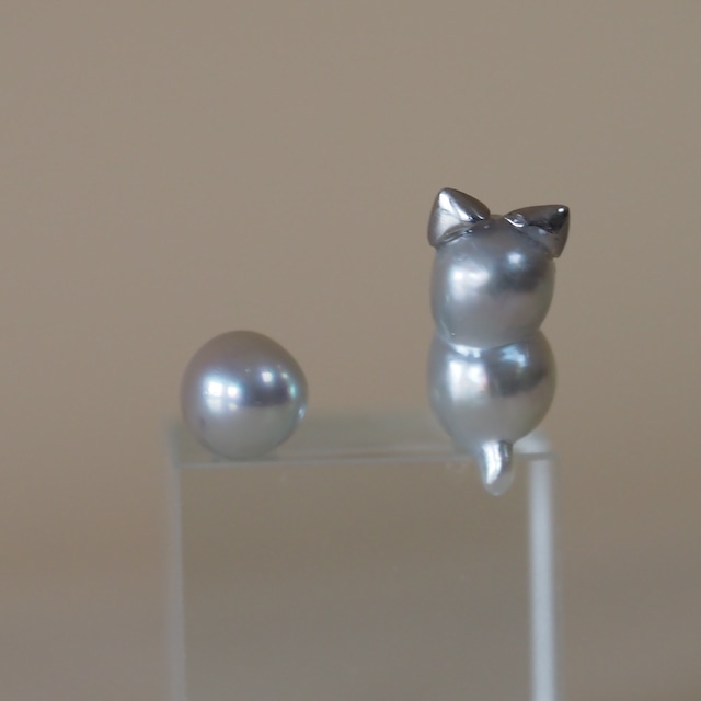 ねこ真珠　次回の里親募集は5月ごろです