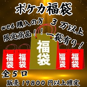ポケカ福袋　web購入の方限定商品！　18000円　ポケモンカードゲーム