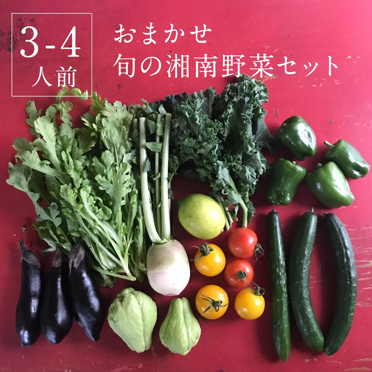 旬の湘南野菜　ーベジ八ー　お得な詰め合わせセット《3〜4人用》　湘南野菜