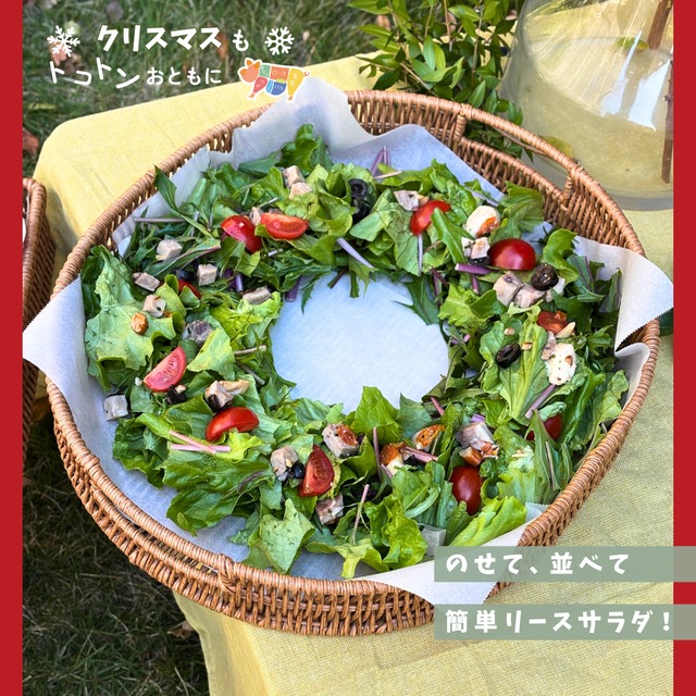 【バゲットセット】大村の人気店bourangerie035のバゲットとハムのオイル漬け&リエット