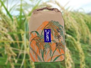 こしひかり玄米「5kg」  【コシヒカリ・とやまのお米・富山県産・おいしいお米】