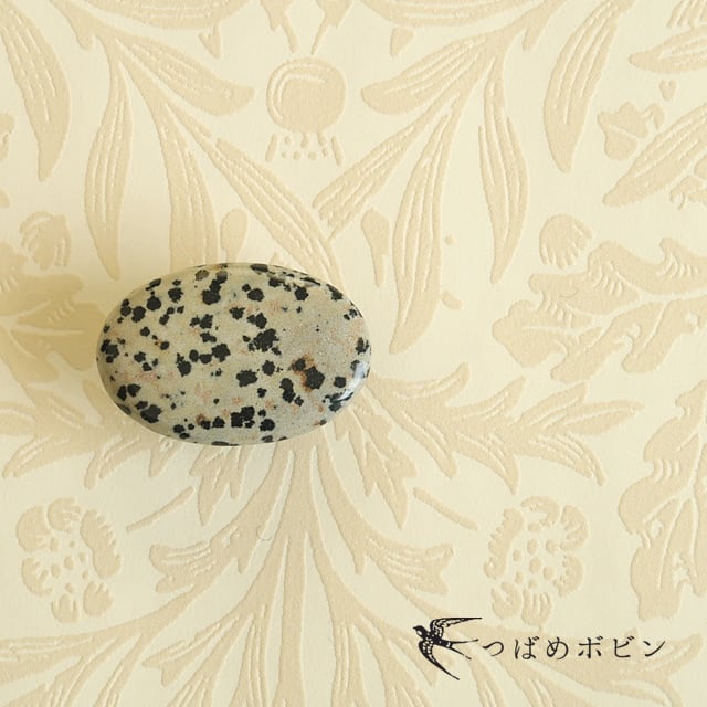 天然石の帯留 ◎ ダルメシアンジャスパー/B