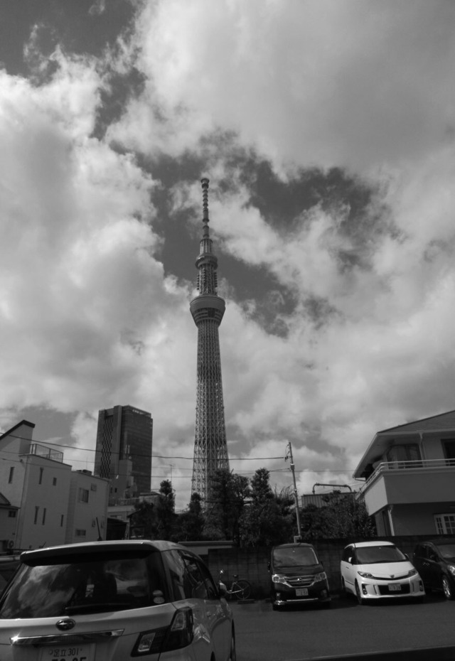 暑中見舞いはがき　夏空のスカイツリー　～Skytree in the Summer sky～　5枚セット