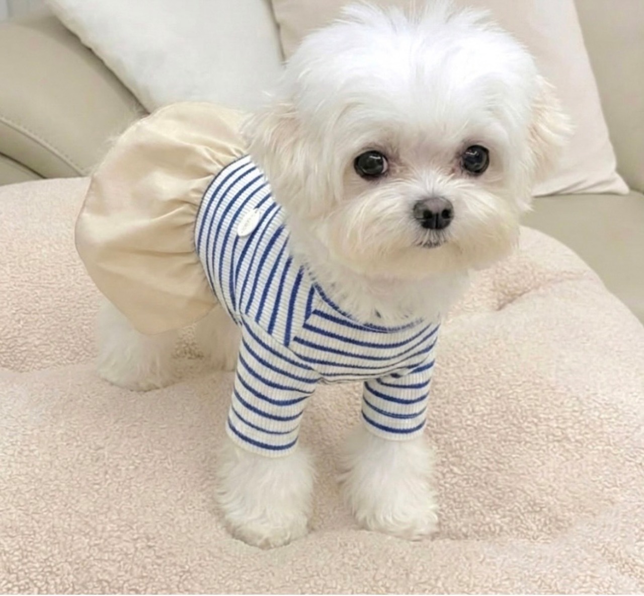 即納【HugMe】 Marin French Dress(2color)
