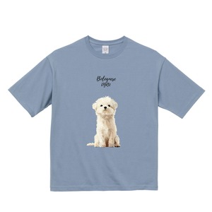 ボロニーズ　ビックシルエットTシャツ