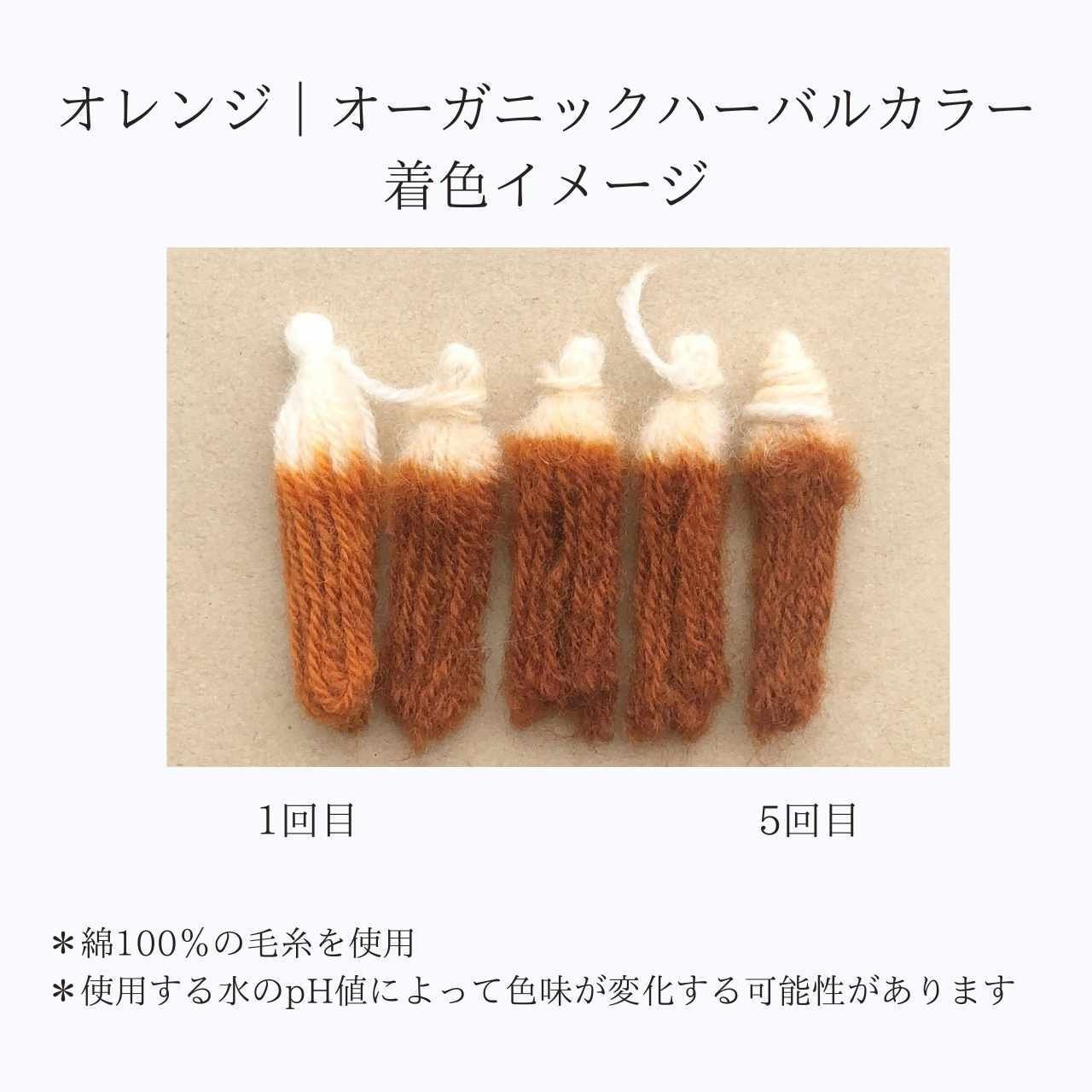 【ヘナ初心者セット】ミディアムヘア用オーガニックヘアカラーセット２｜エコヴェーダ