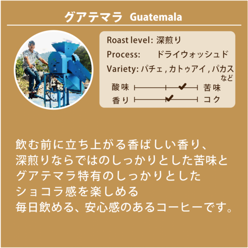 【深煎り】グアテマラ   ドライウォッシュド　 100g　