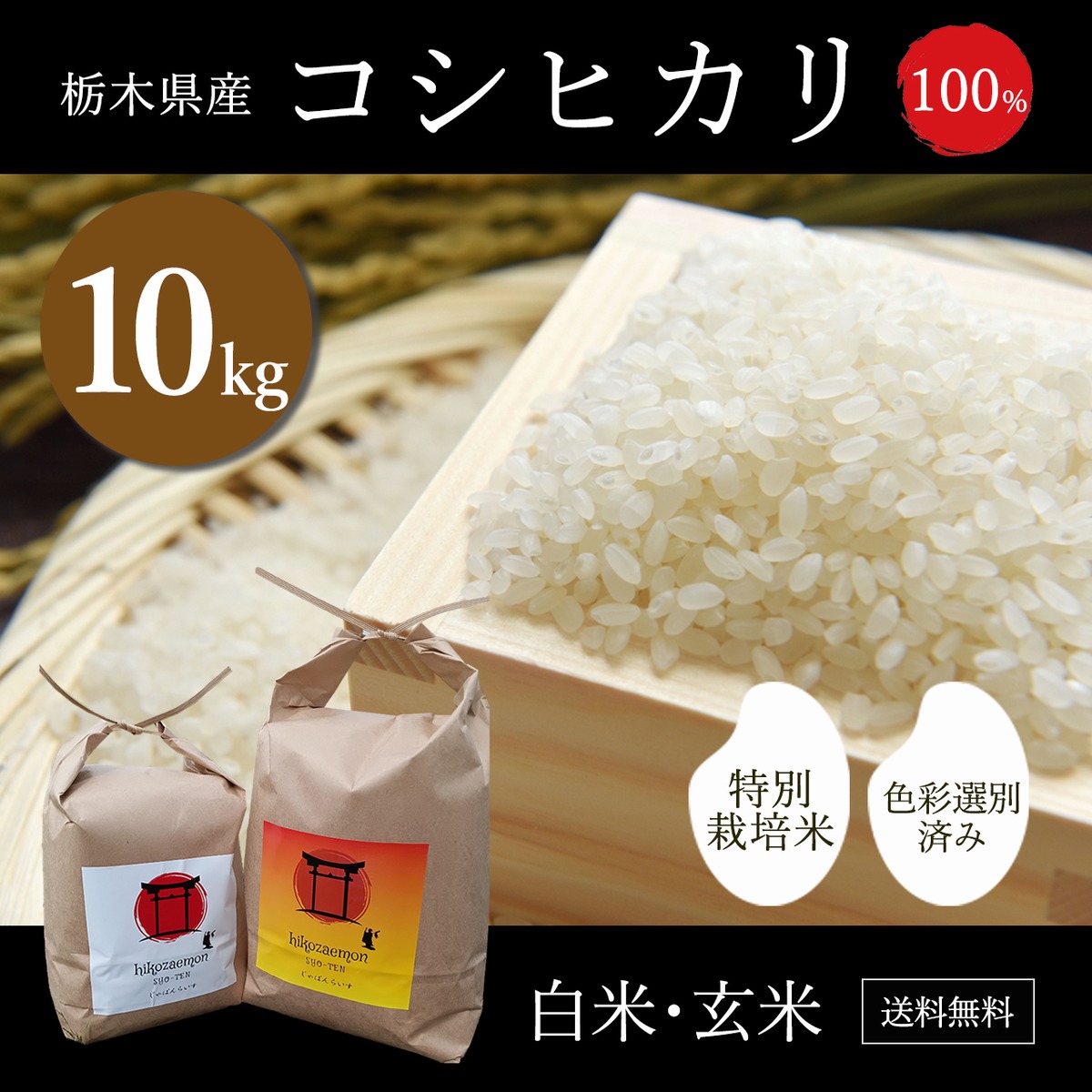 栃木県産 コシヒカリ 令和7年度産 10kg | 米問屋 彦左衛門商店