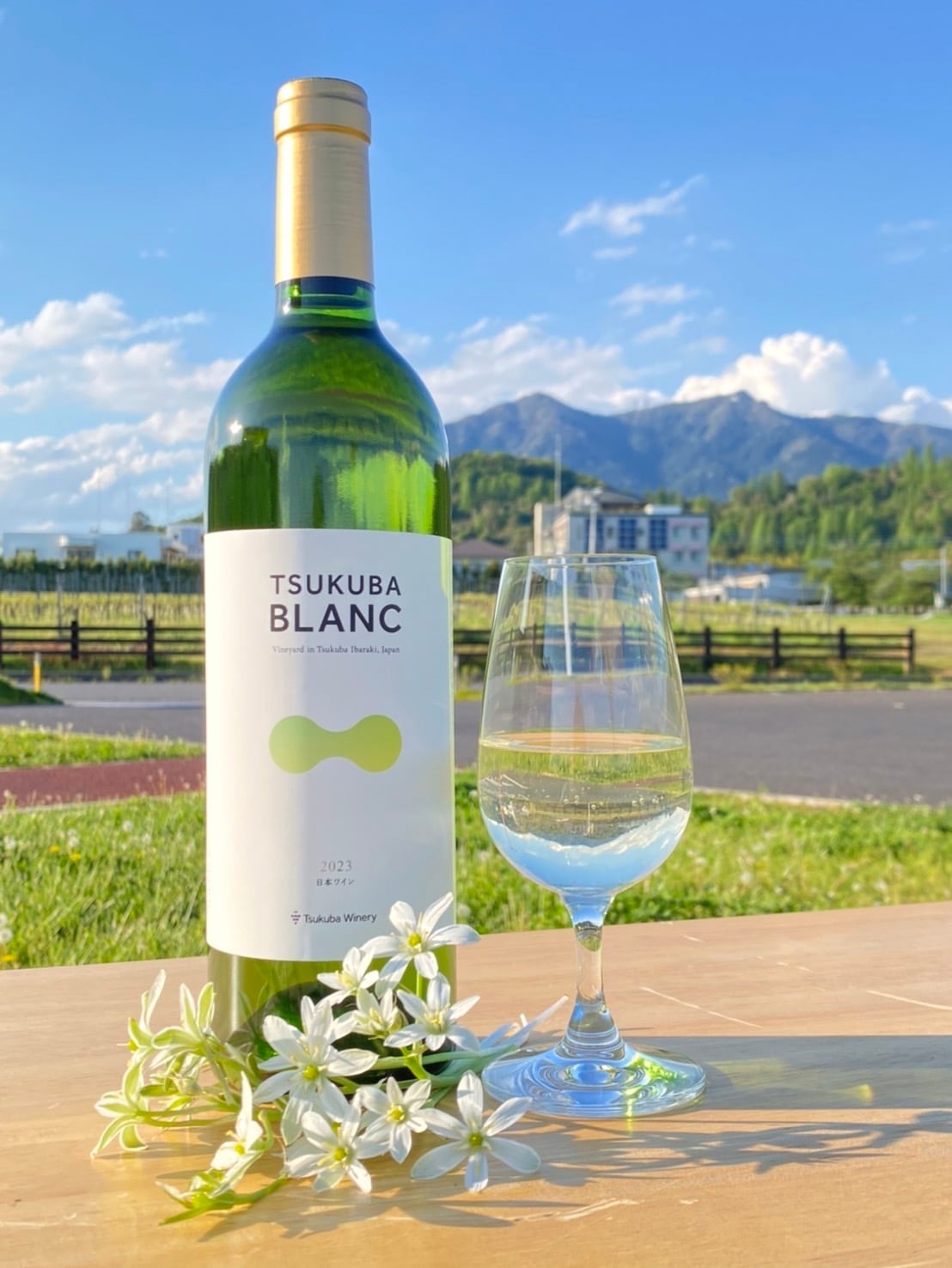白樺風ビンテージホワイト　title「勇」 2023 TSUKUBA BLANC | つくばワイナリー