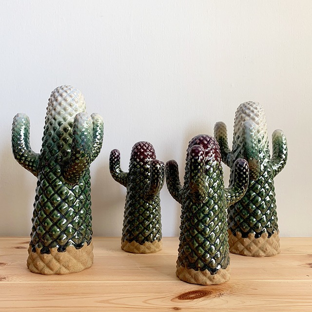 Cactus Objet:Randa WH