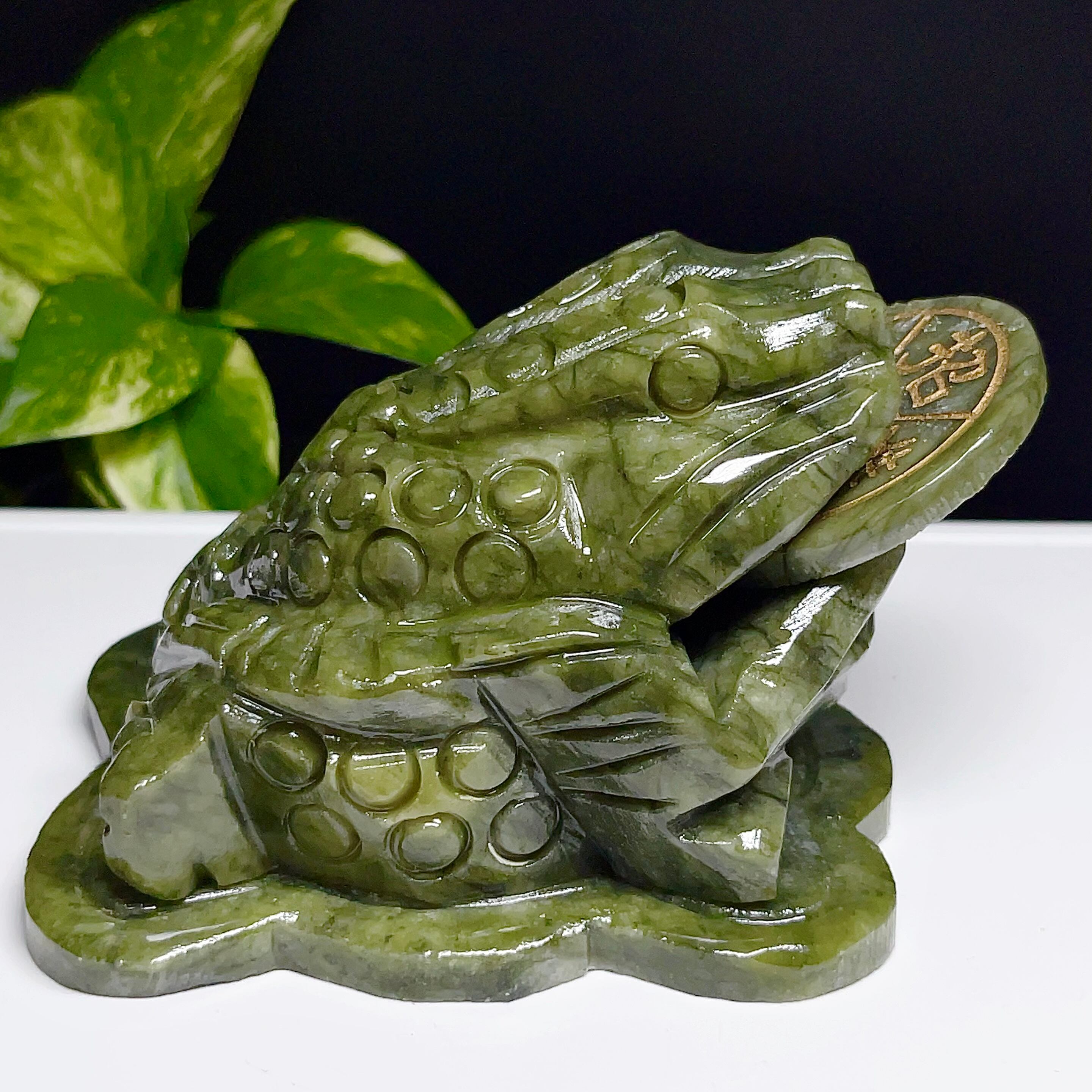 Adam Binder 動物　カエル【750個限定】 Adam Binder 動物カエル【750個限定】