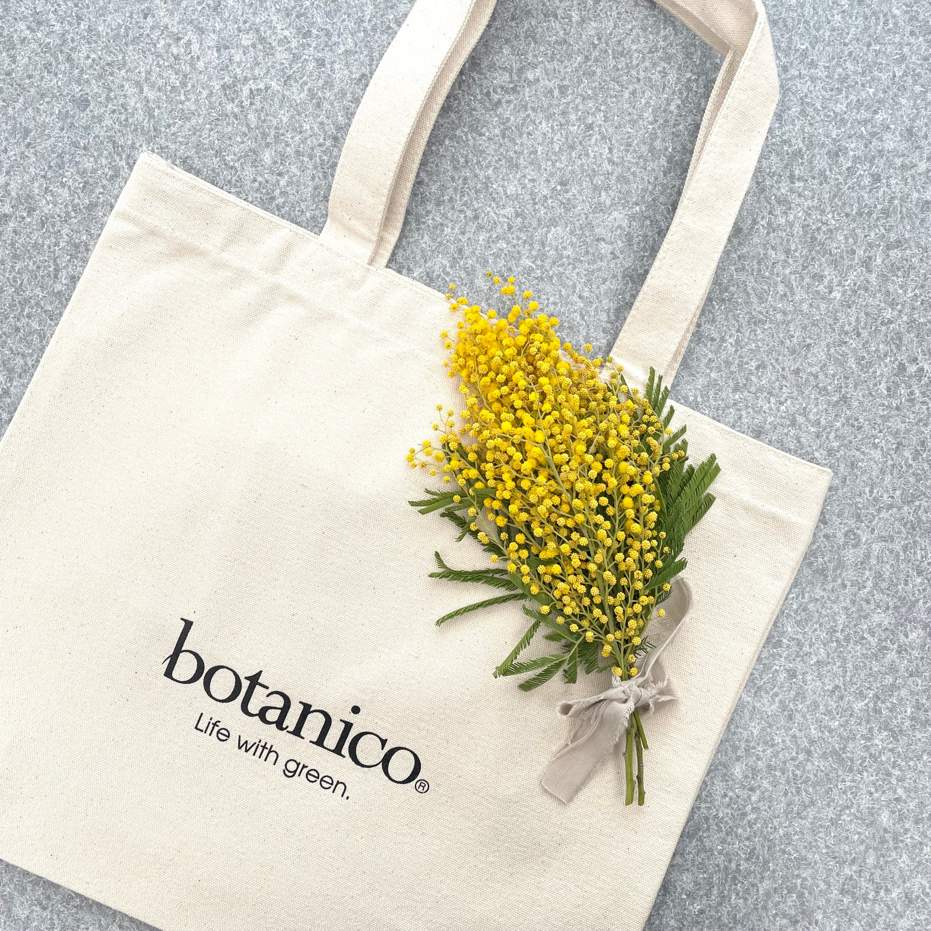 LOGO TOTE BAG ／ Natural | 【botanico】多肉植物など観葉植物の通販