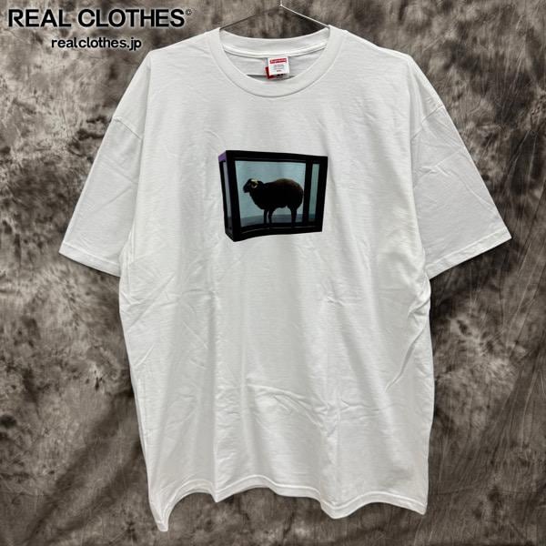 25ss Supreme Damien Hirst Tee ホワイト M 1e416bd704db1ec108f3352f49dda3
