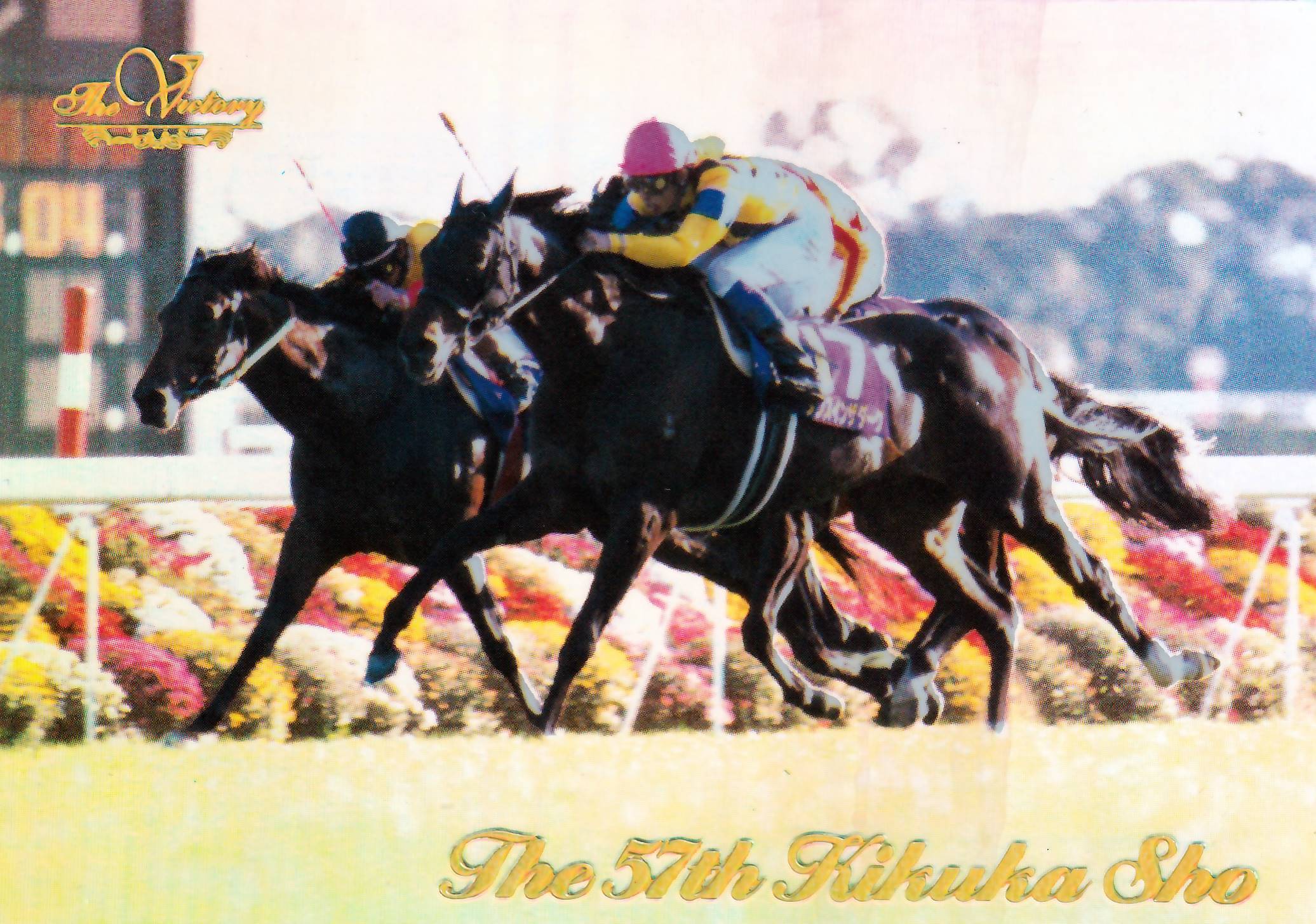 第56回 菊花賞：マヤノトップガン(金文字ノーマル)「The Victory 1999
