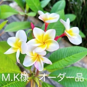 M.K様　オーダー品