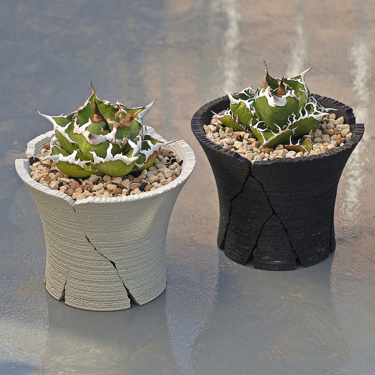 クラックスリット鉢 (13cm) | Green Mountain Store