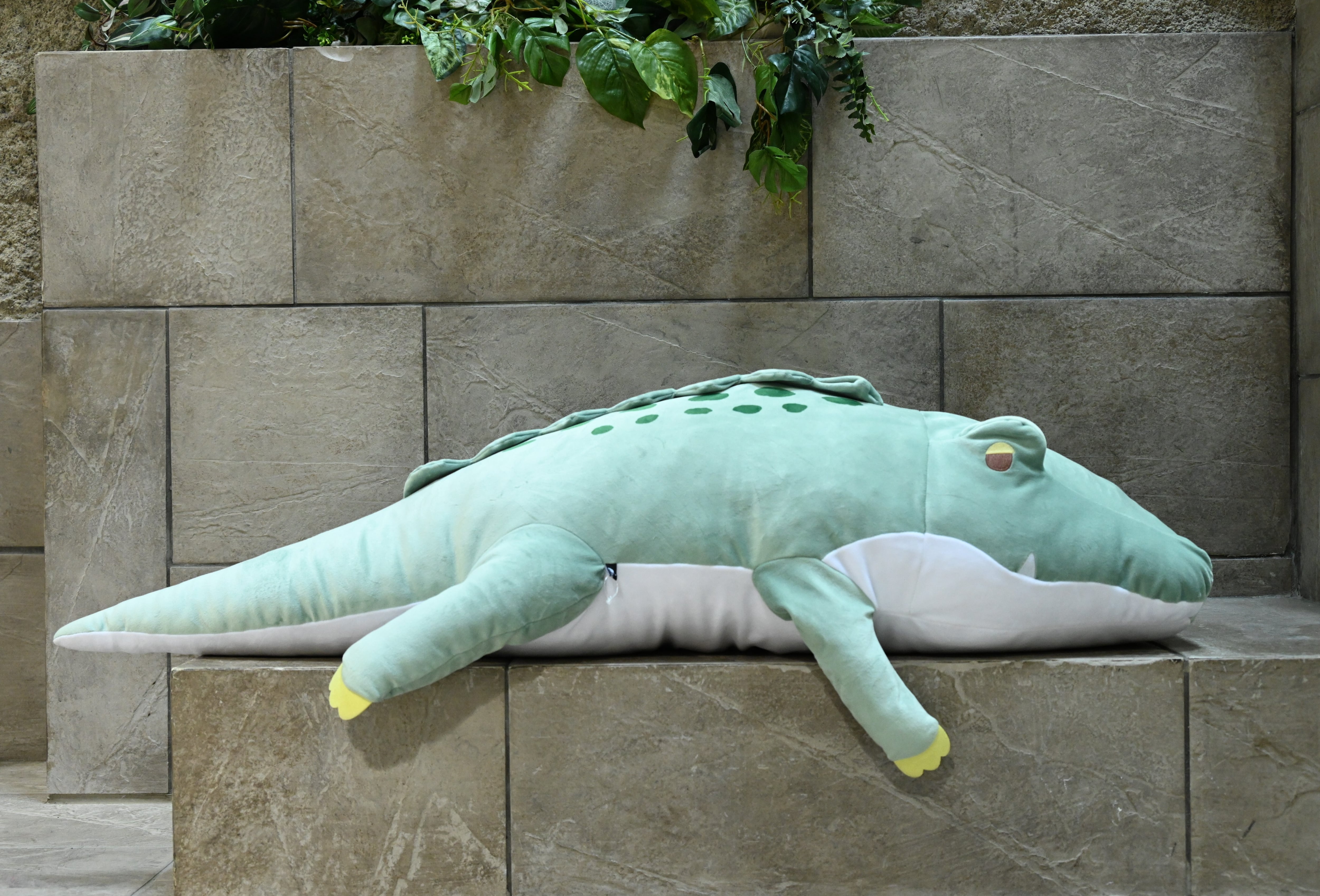 おねむクッション　イリエワニ(2XLサイズ)　オリジナルバッグ付き！