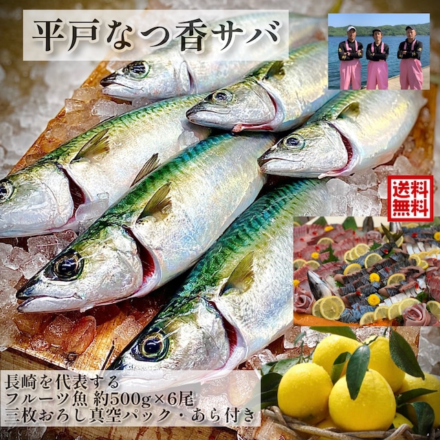 平戸なつ香サバ 約500g 6尾 三枚おろし 真空パック 送料無料 坂野水産
