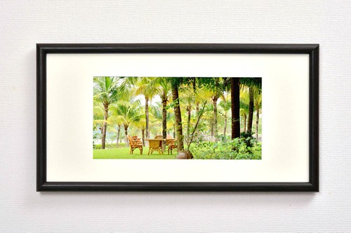 トロピカルガーデン