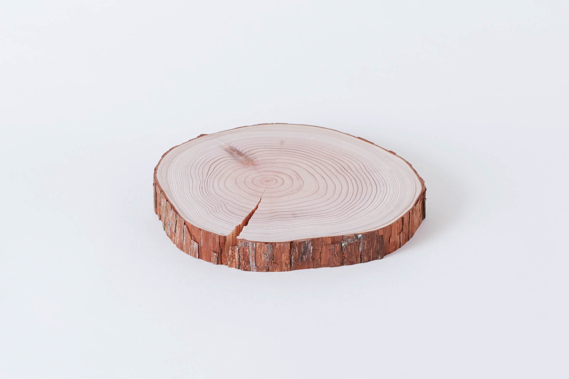丸太の鍋敷き【樹皮付き・無塗装】 | 東京チェンソーズ オンラインストア