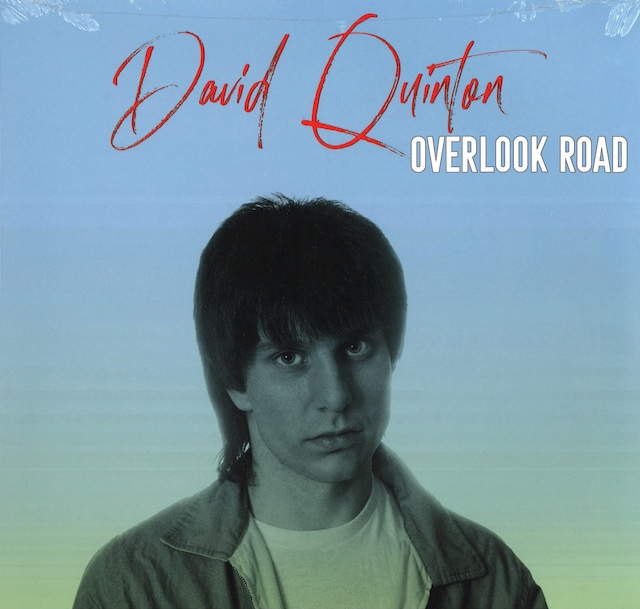 【Record / LP】DAVID QUINTON | Overlook Road