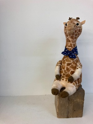 お座り　動物シリーズ「キリンさん」