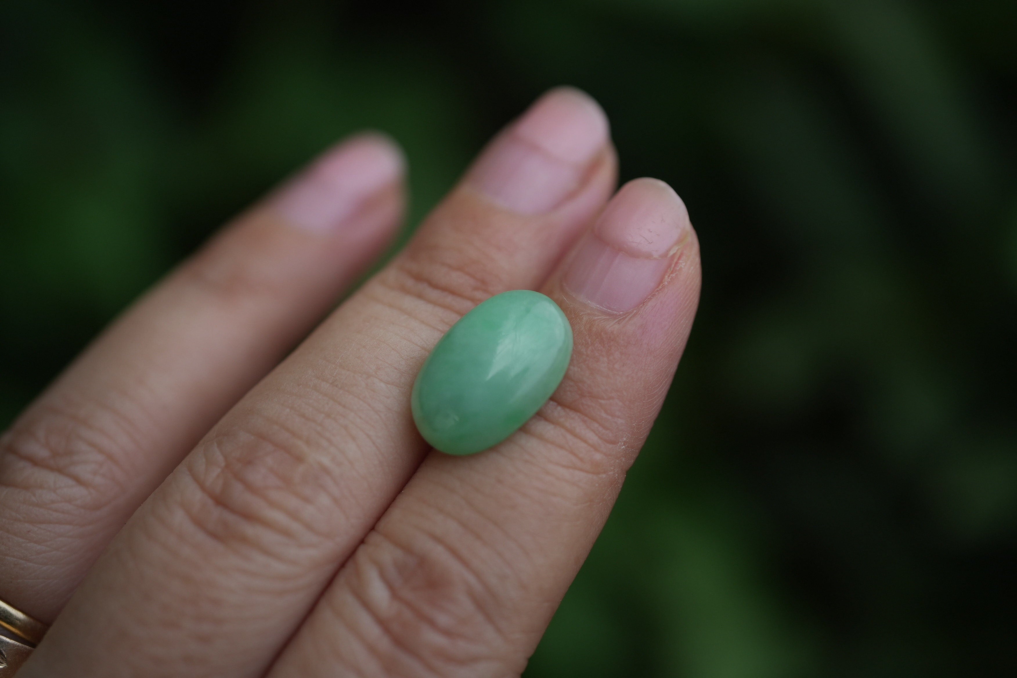 アップルグリーン高品質☆ミャンマー翡翠（本翡翠）s1351 | Funky