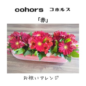 《お祝いアレンジ》　　～cohors　コホルス～「赤」　札幌市北区太平のお花屋さん　誕生日・結婚記念日・敬老の日などに。