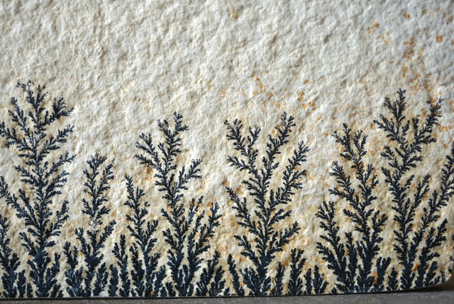 デンドライト 忍石 Dendritic limestone 1304