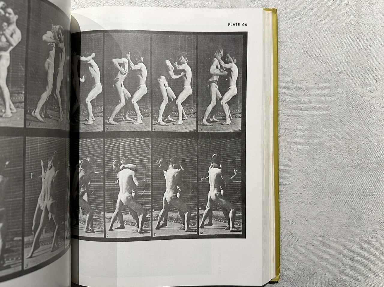 洋書 THE HUMAN FIGURE IN MOTION Amazon.com: The Human Figure in Motion: 9780486202044
