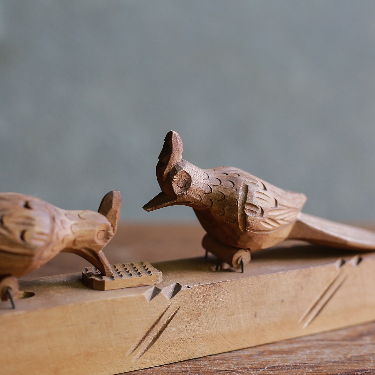 餌をつつき合う、仲睦まじい鳥