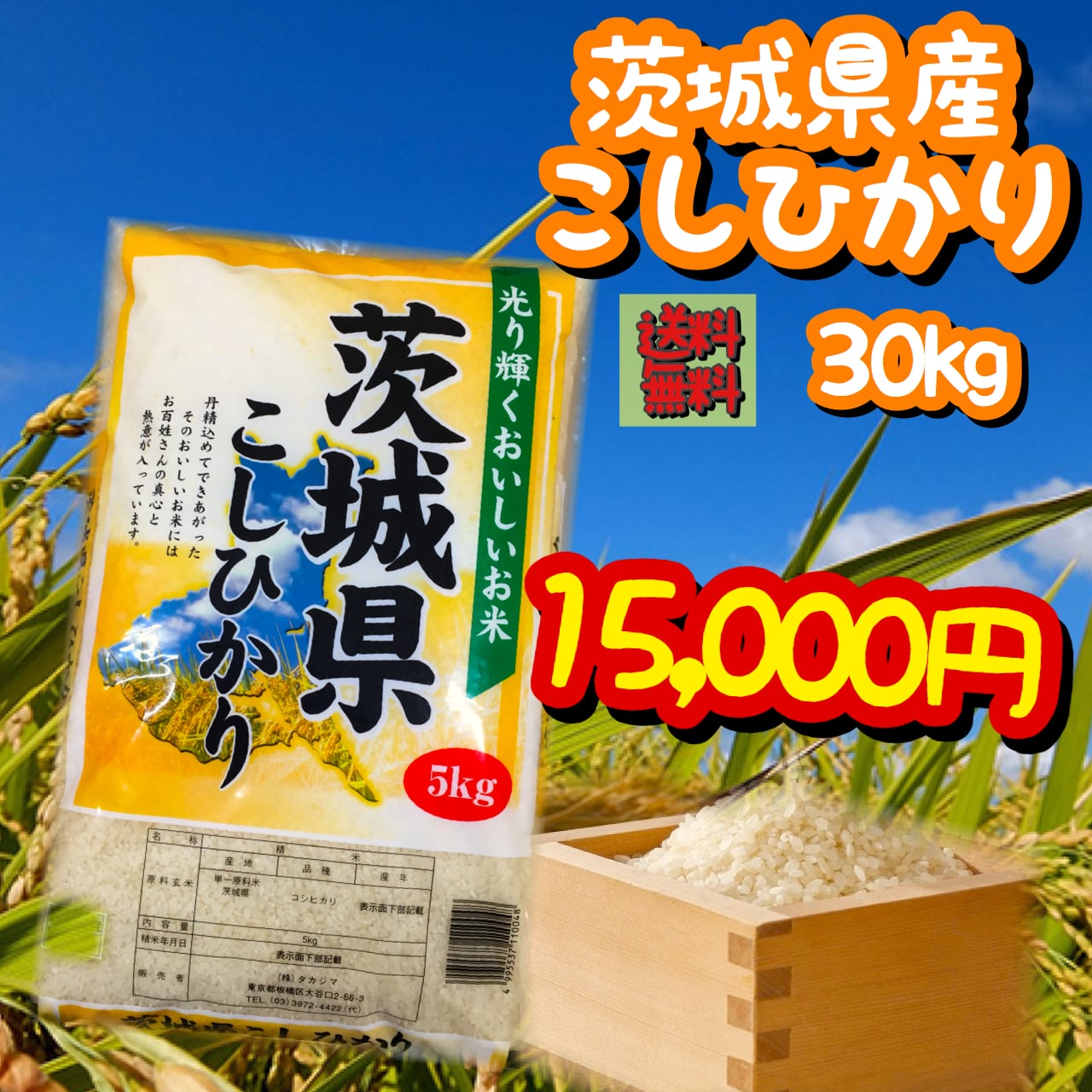 茨城県産 コシヒカリ 5kg×6