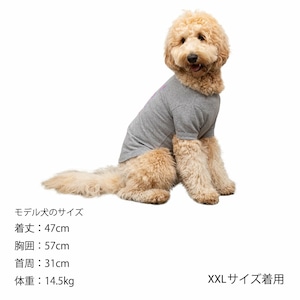 サイズL〜XXL  COOL MARKER T-SHIRT / クールマーカーTシャツ　MANDARINE BROTHERS 犬服　ドッグウェア