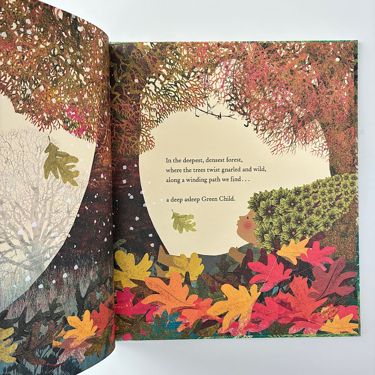 The Green Child | 素敵な洋書絵本のお店 Read Leaf Books