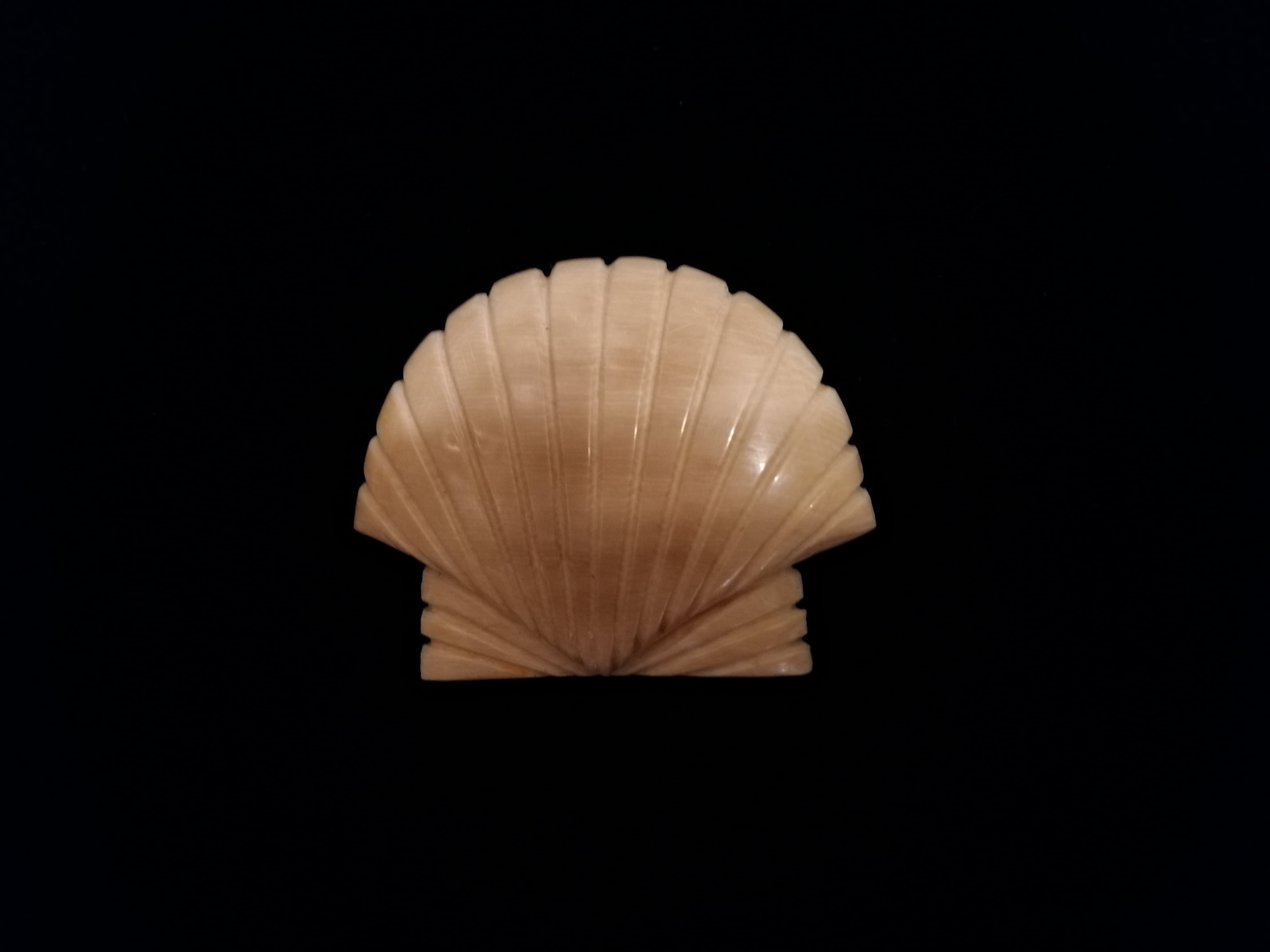 シェル・マンモスカービング☆ナンタケットバスケット用 | ナンタケット