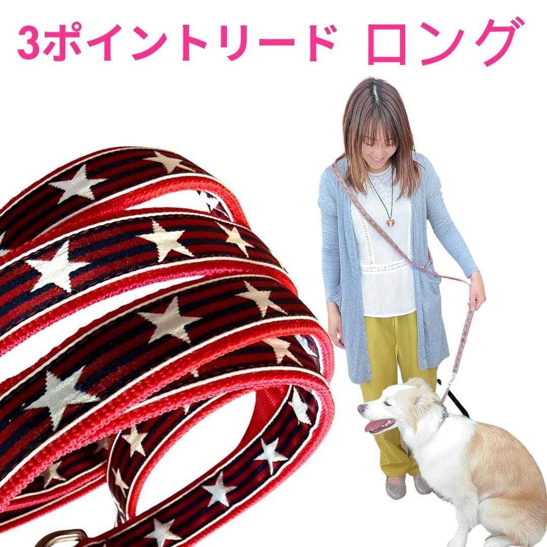 ハーフチョークやリード、スリーポイントリードリード】 | Larry's Company