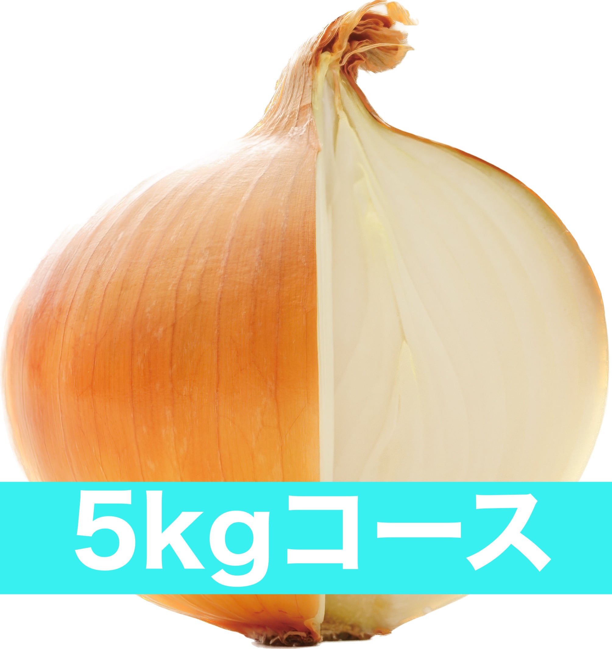 一番玉ねぎ定期便】3kgコース：1ヵ月に1回お届け 送料込み | 原田