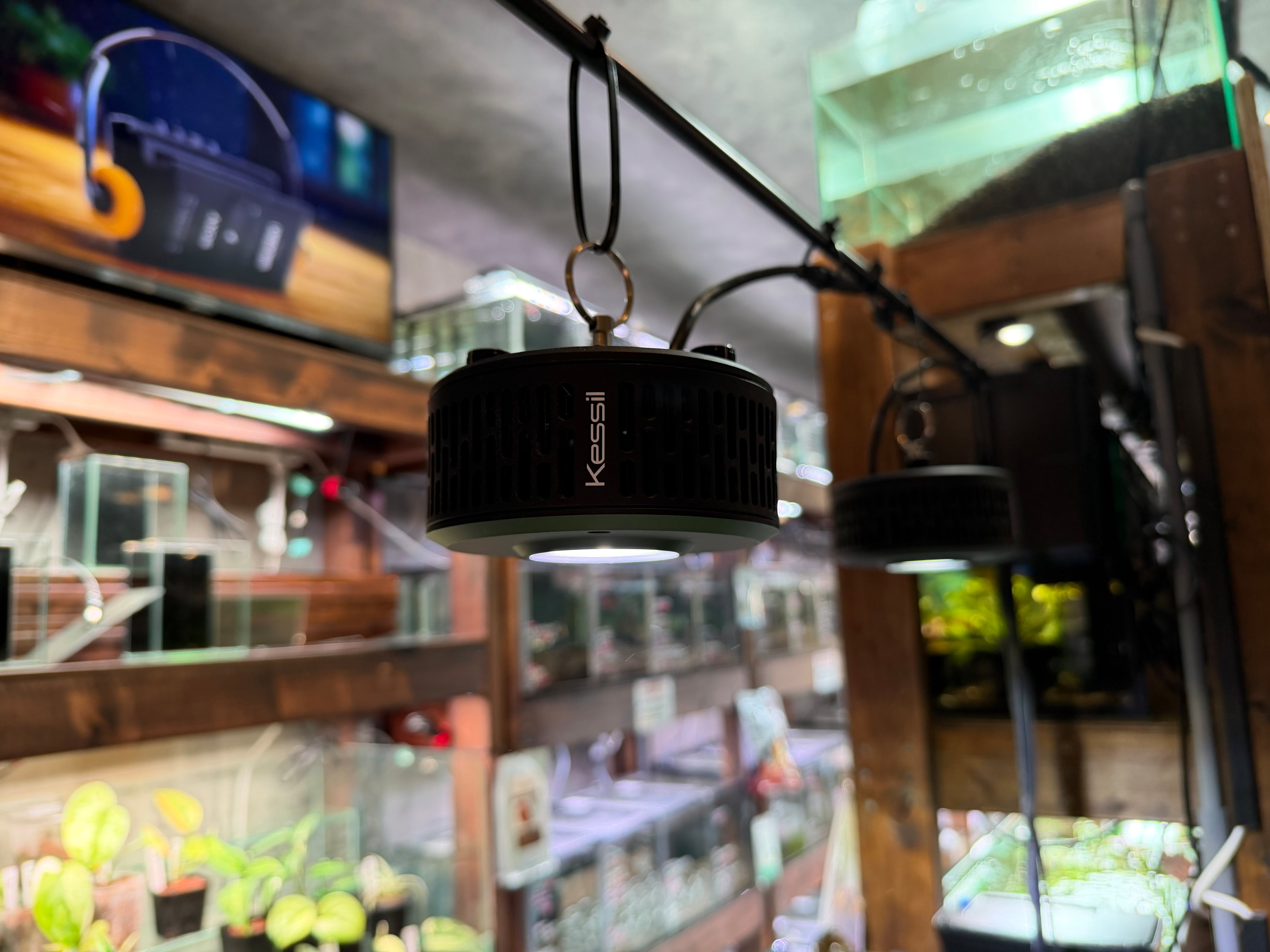 Kessil A360XE Tuna SUN | AquaFocus