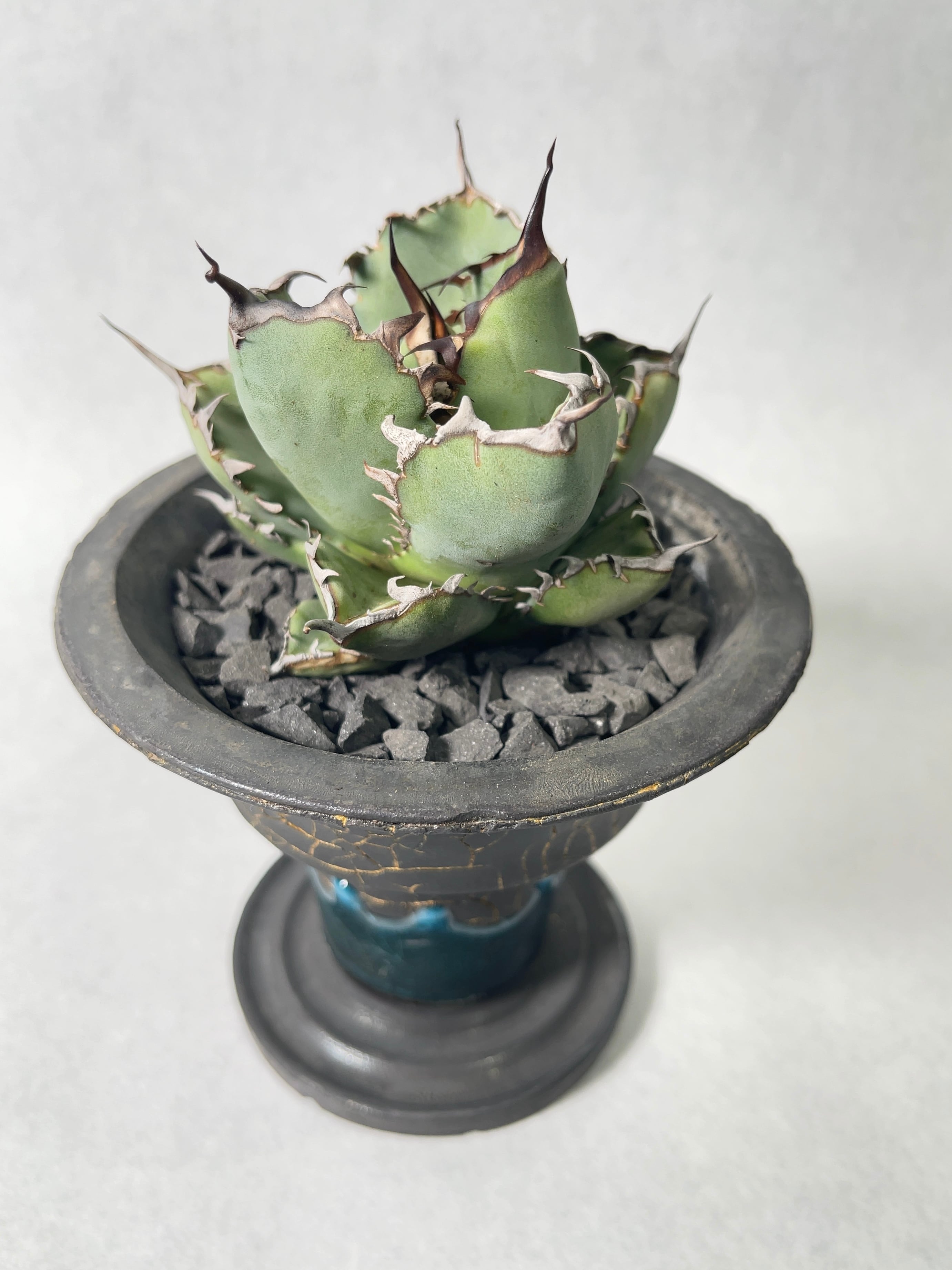 佐藤恵一 | PROTOLEAF プロトリーフ 佐藤恵一【植木鉢】 佐藤恵一 | PROTOLEAF プロトリーフ 佐藤恵一【植木鉢】