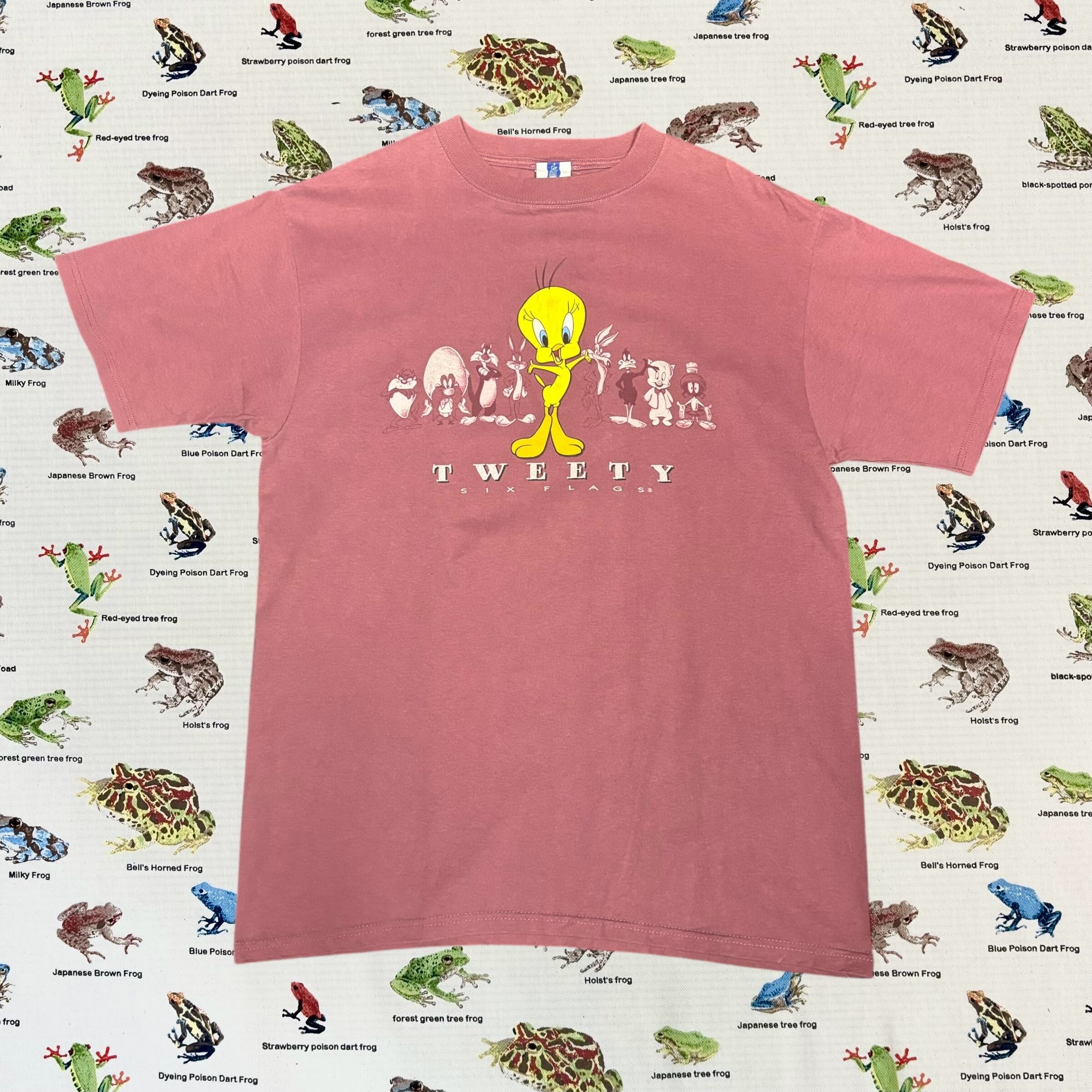 ルーニーテューンズ トゥイーティー Tシャツ TWEETY