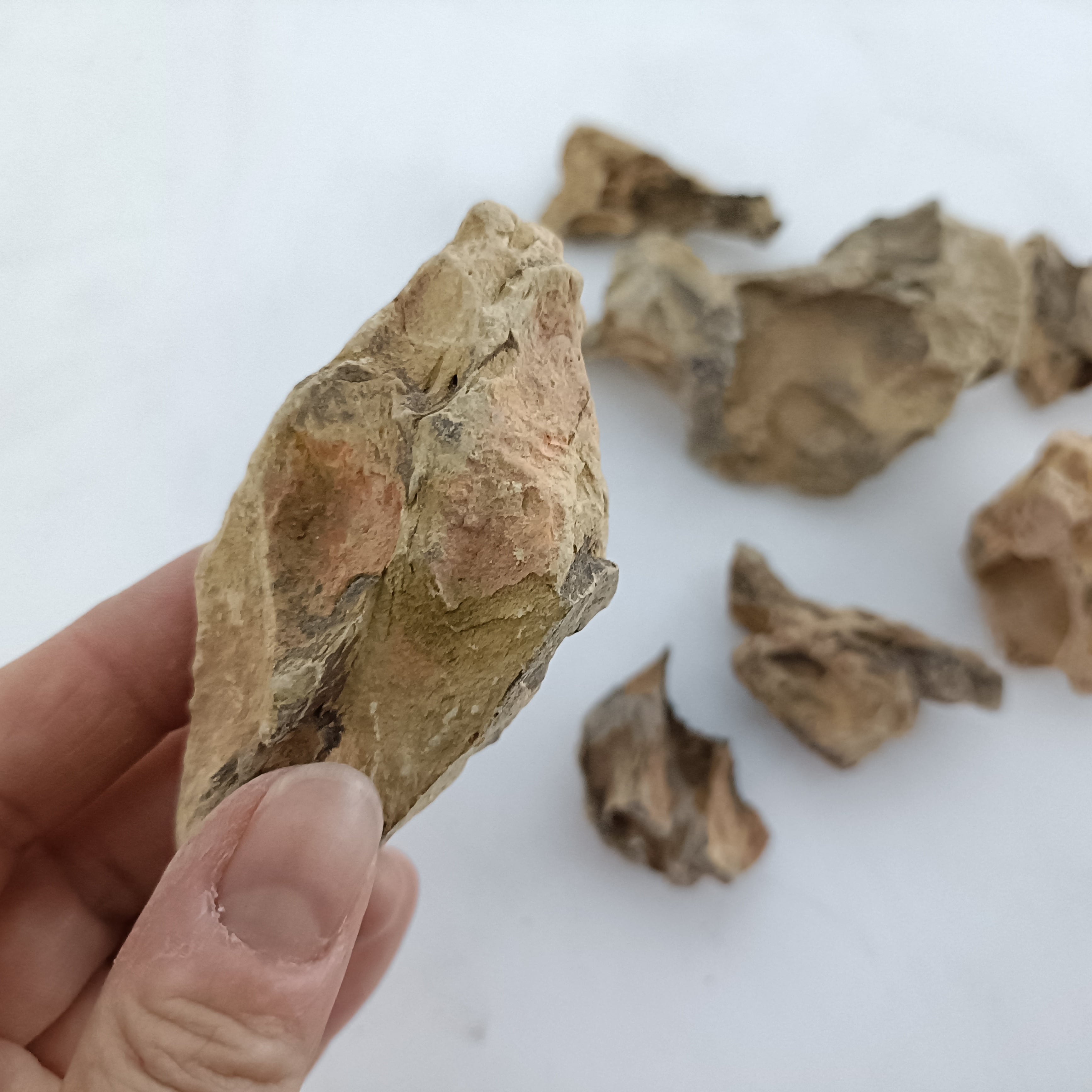 気孔石 200g入り【レイアウト用・着生用】 | 苔テラリウム専門