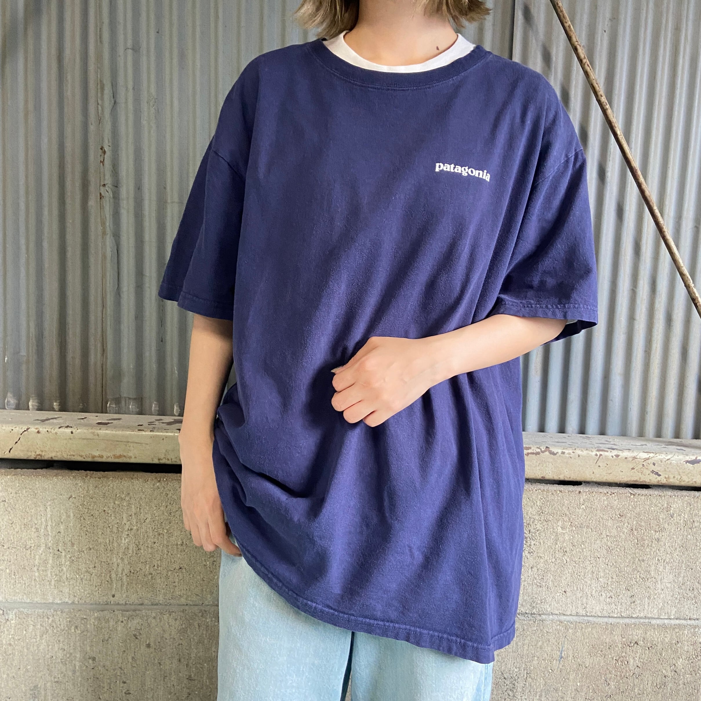 パターン *patagonia*パタゴニア オーガニックコットンTシャツ