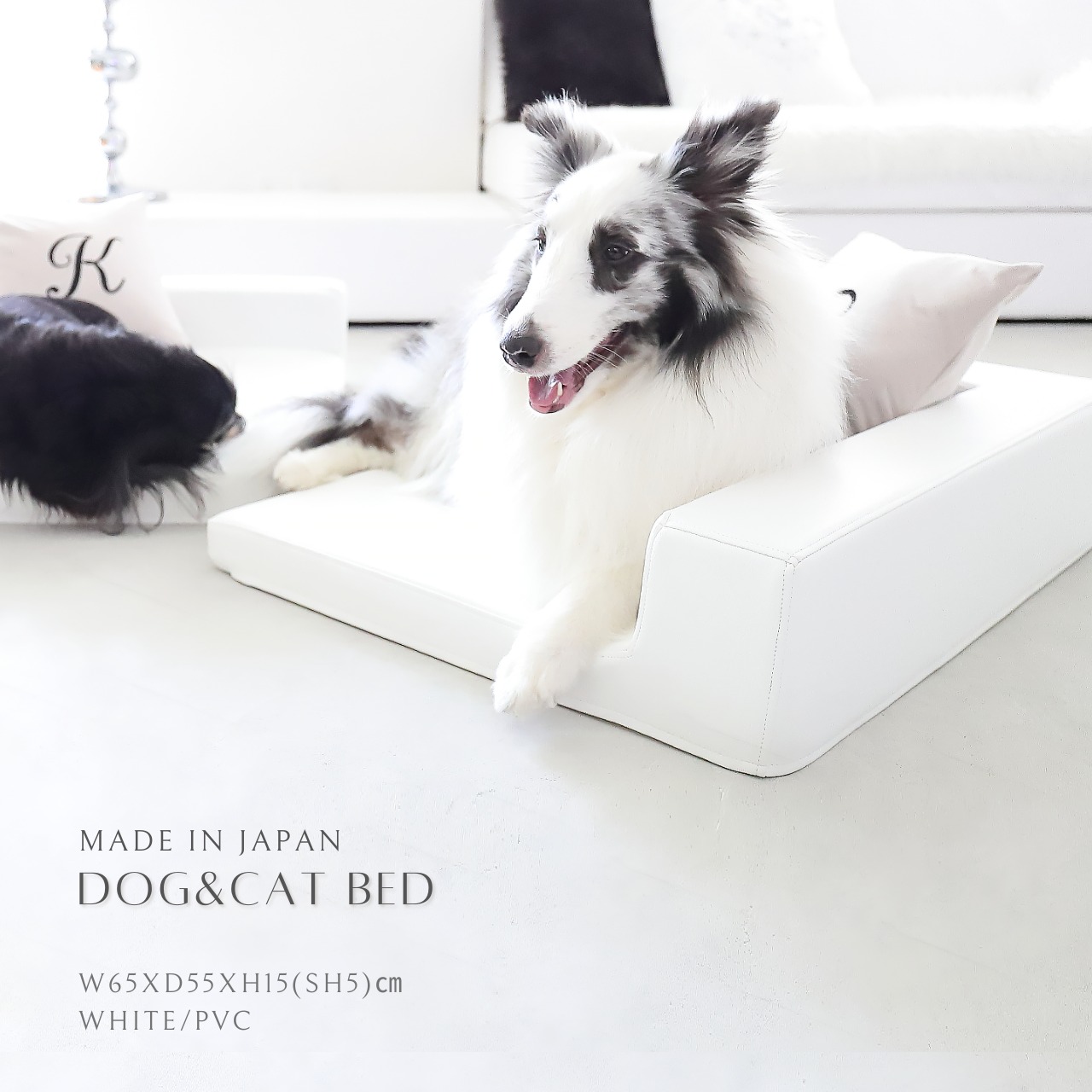 BUDDY DOG&CAT BED  WHITE　