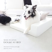 BUDDY DOG&CAT BED  WHITE　