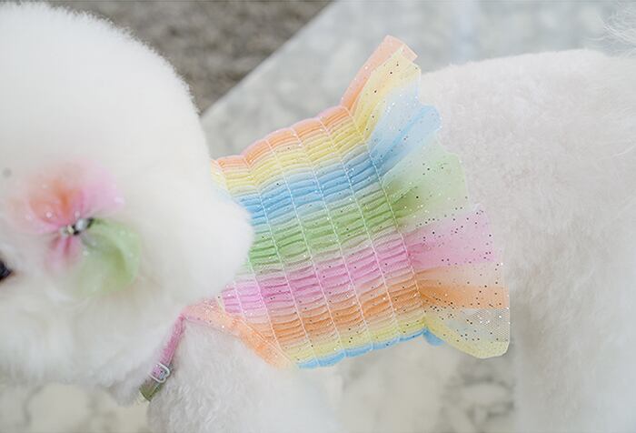 ハローパステル クロップドトップス S ~ XL  /  犬の服 犬服 新作 ショート丈 クロップド丈 涼しい 小型犬 中型犬 ペット洋服 ドッグウェア ペット用品