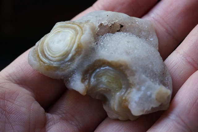 ゴビアゲート Gobi Desert Eye Agate 550