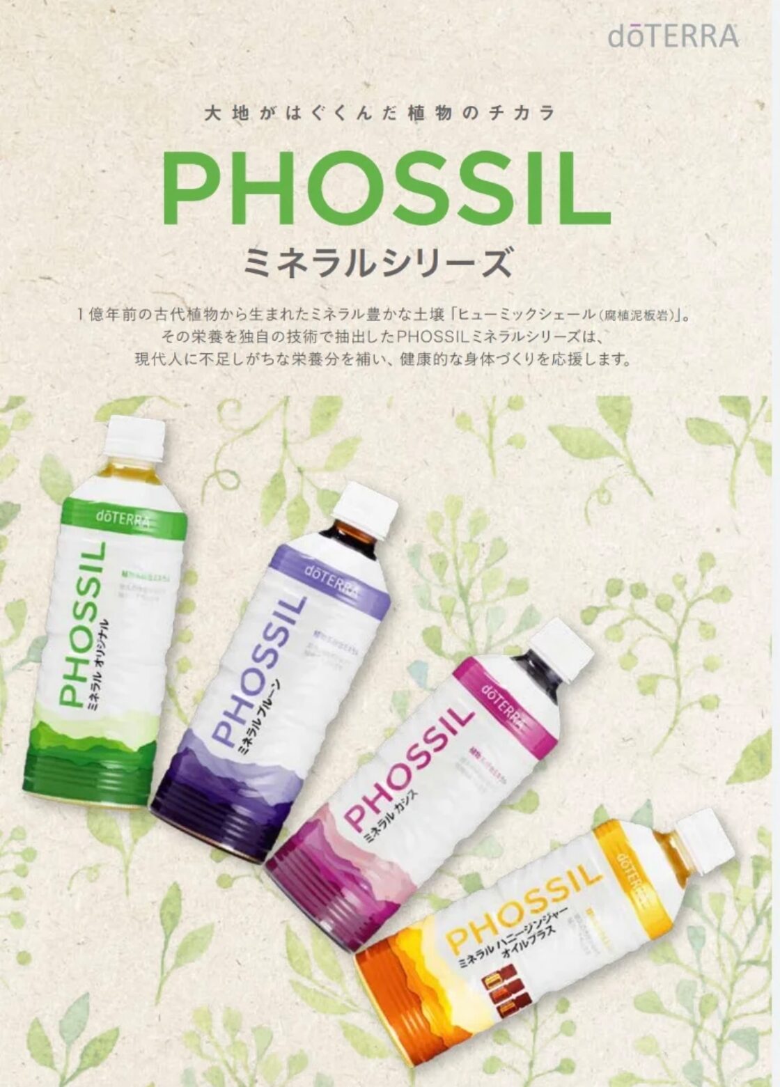 PHOSSIL ミネラル オリジナル | Pay ID