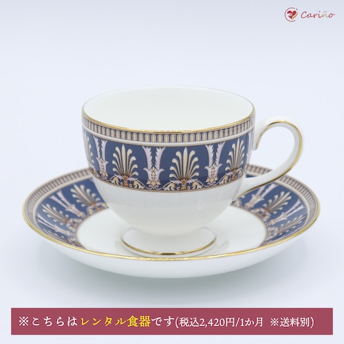 【廃盤品】ウェッジウッド（Wedgewood)ベレスフォード　兼用カップ＆ソーサー(リーシェイプ)(100031)