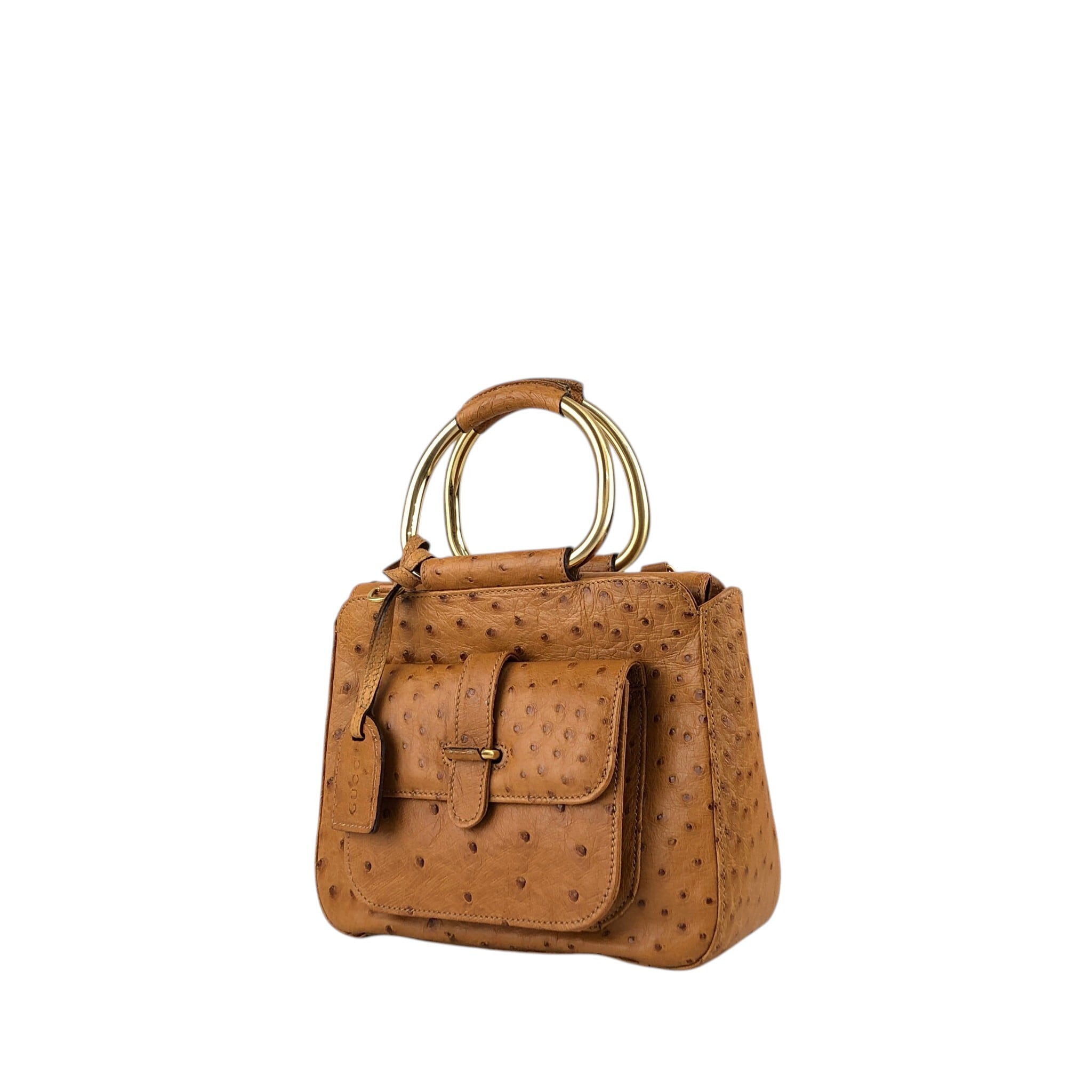GUCCI グッチ ハンドバッグ ブラウン オーストリッチ 2way メタル